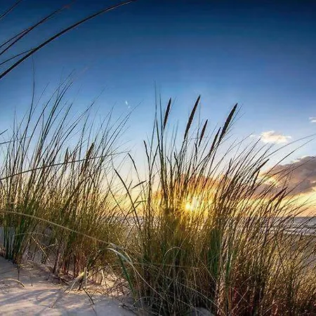 Sellebjerg * Bindslev