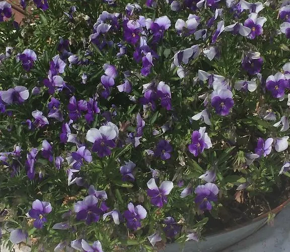 Sellebjerg דירה *