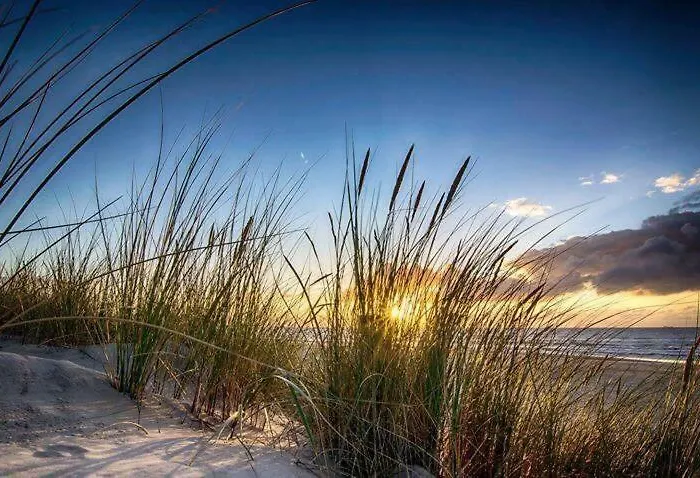 Sellebjerg * Bindslev